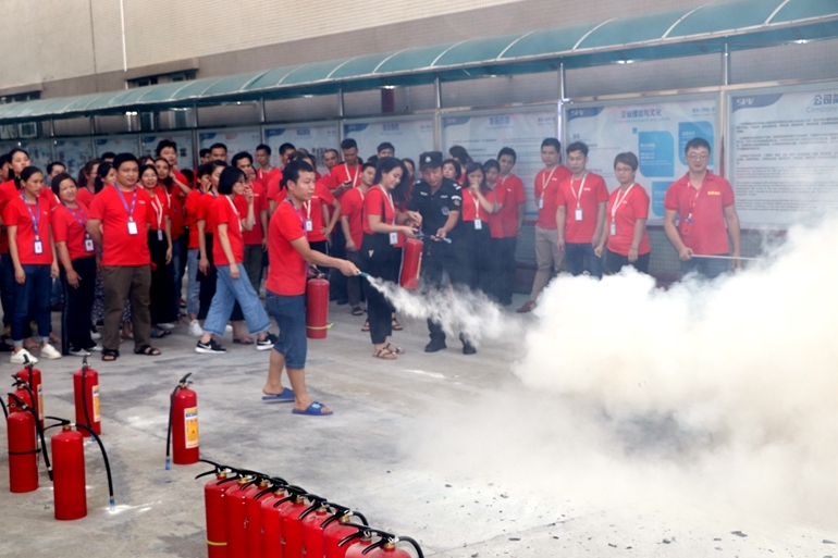 IMG_2781.JPG IMG_2781.JPG